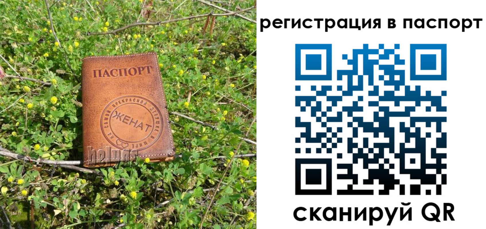 прописка законно в Стерлитамаке